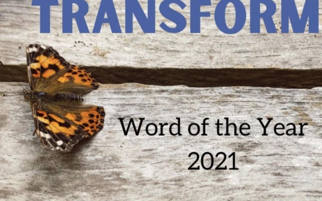 4 Tools for Transforming Your Life in the New Year
